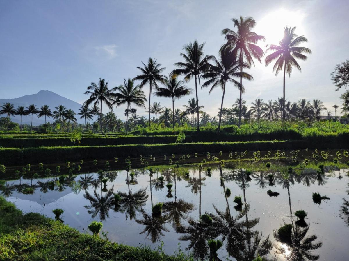 Les Rizieres Lombok - Tetebatu Hotel Екстериор снимка