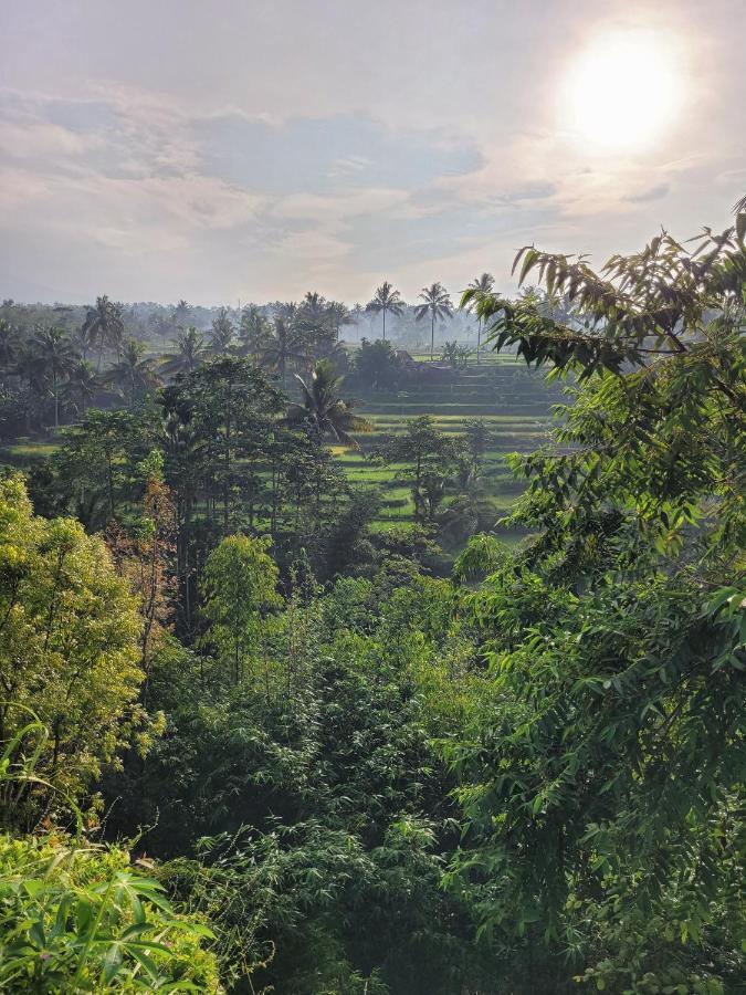 Les Rizieres Lombok - Tetebatu Hotel Екстериор снимка